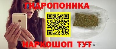 прущие грибы Ярцево
