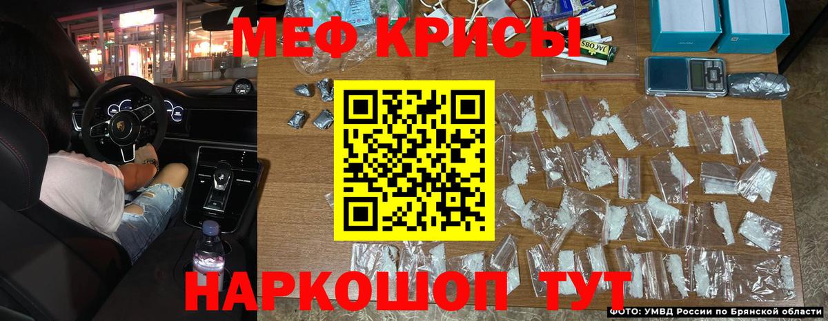 МЕФ Нововоронеж