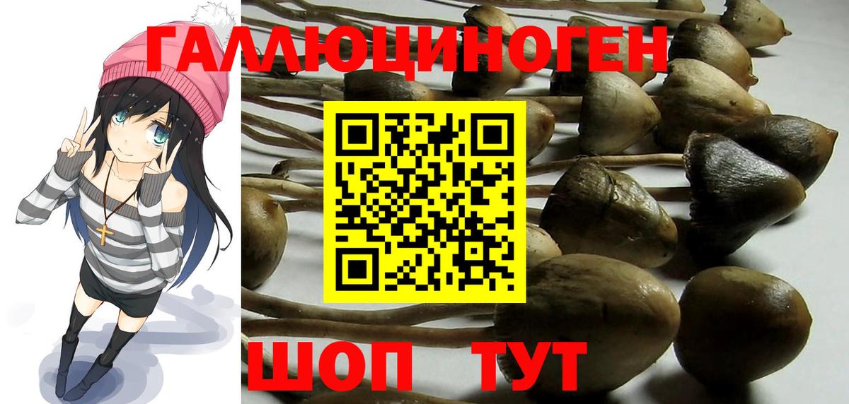 Нововоронеж  Галлюциногенные грибы ЛСД  Вход с VPN  Псилоцибиновые грибы Magic Shrooms 